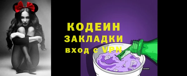 СК Елизово