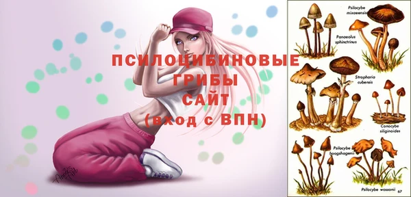синтетический гашиш Карпинск