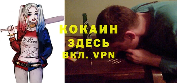 МДПВ Алексеевка