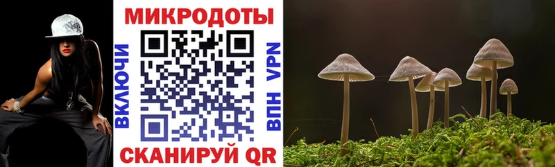 Галлюциногенные грибы MAGIC MUSHROOMS  Раменское 